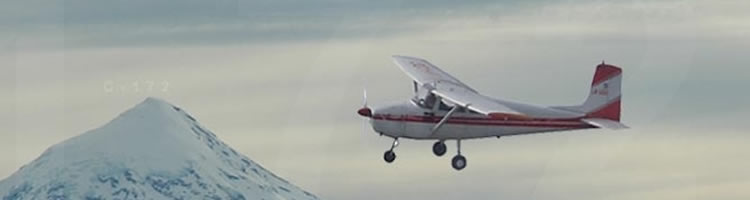 Cessna 172 de Alas Argentinas